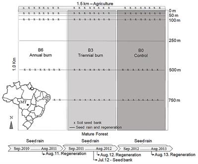 Effects of Fire Frequency on Seed Sources and Regeneration in Southeastern Amazonia